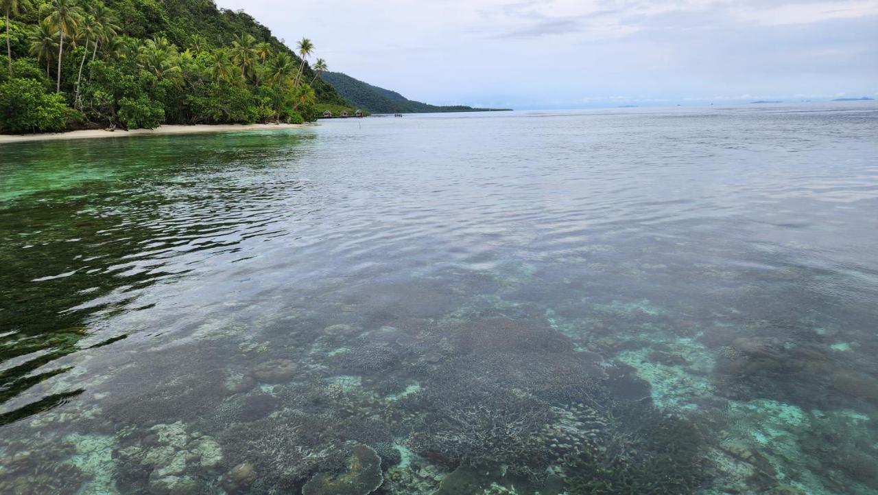 Terimakasih Homestay Pulau Mansuar Exterior foto