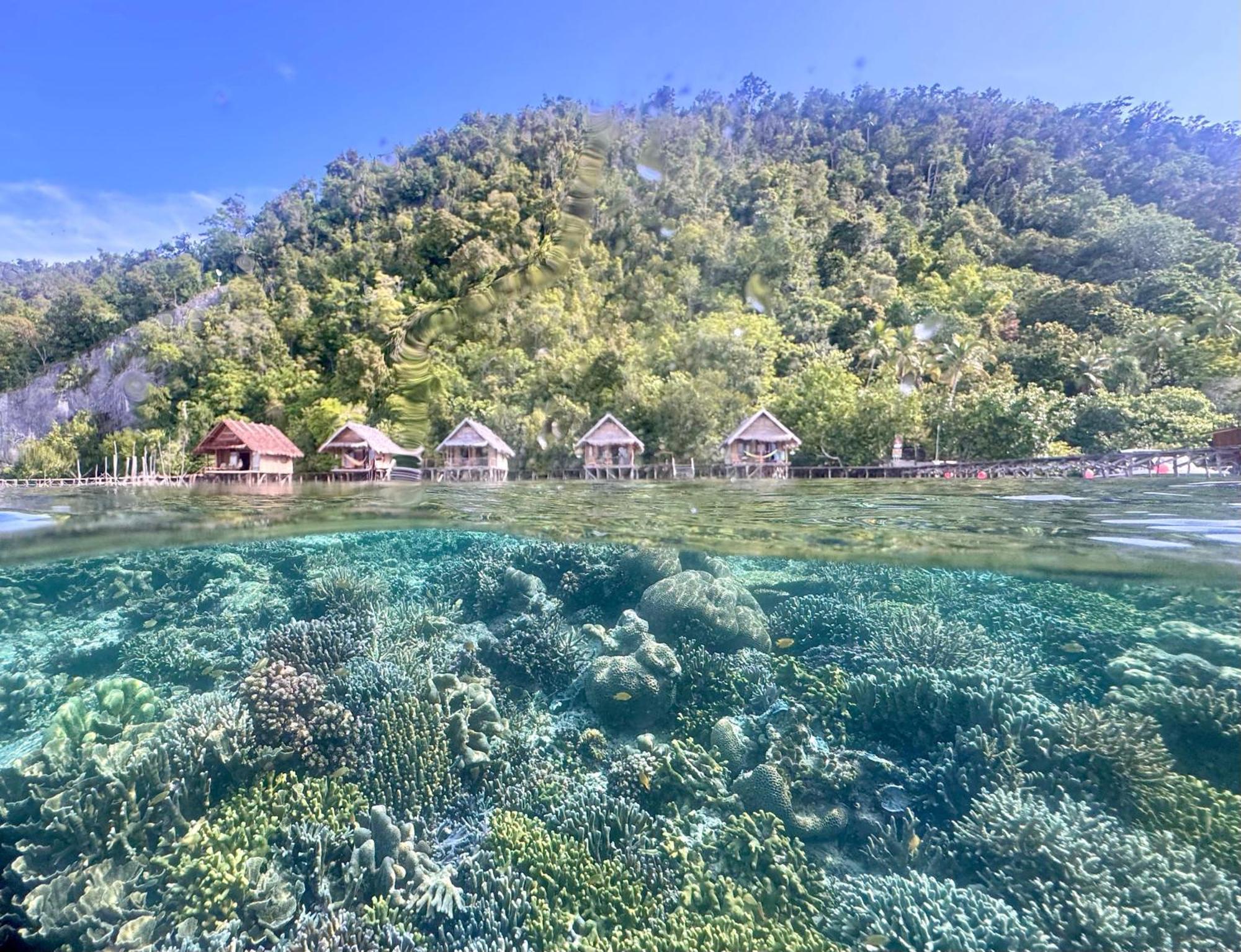 Terimakasih Homestay Pulau Mansuar Exterior foto