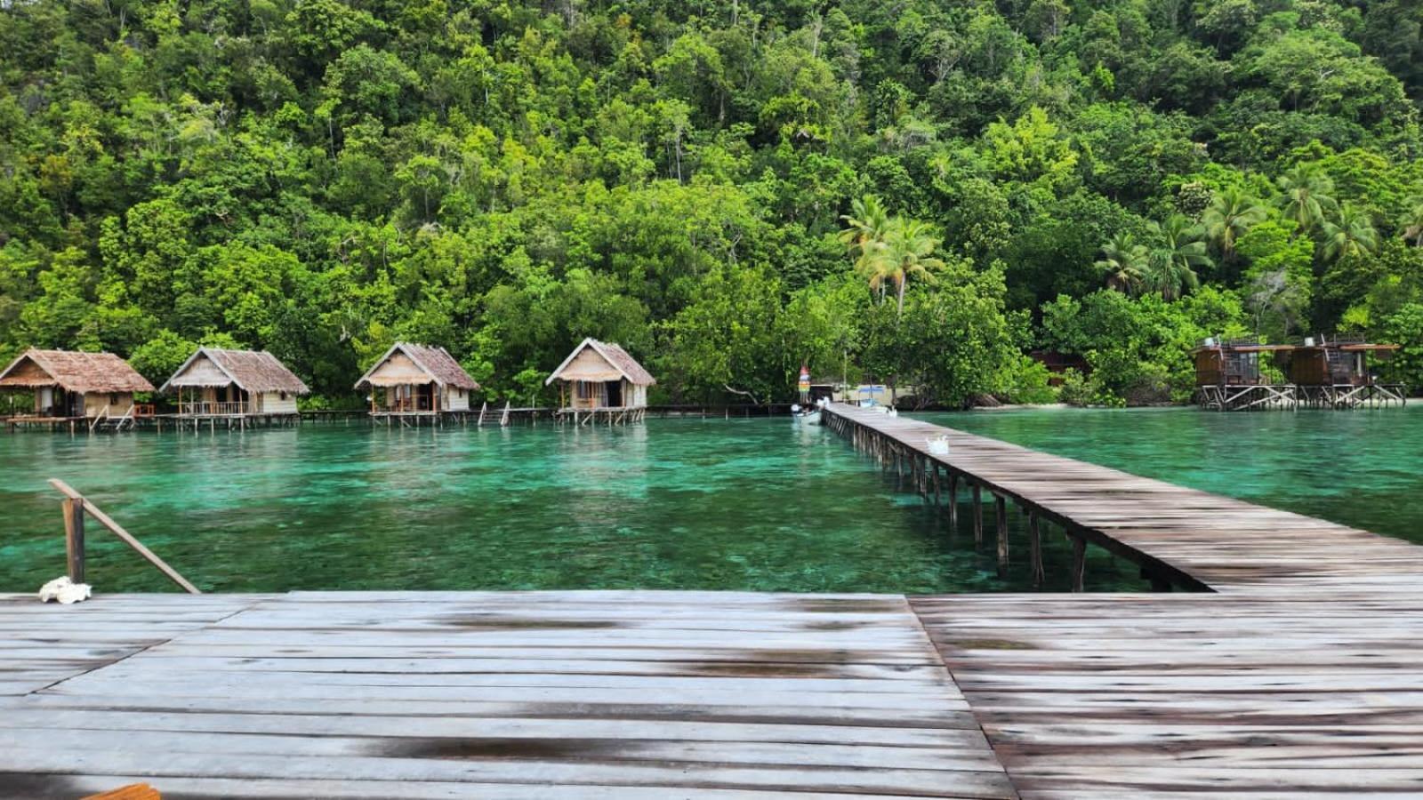 Terimakasih Homestay Pulau Mansuar Exterior foto