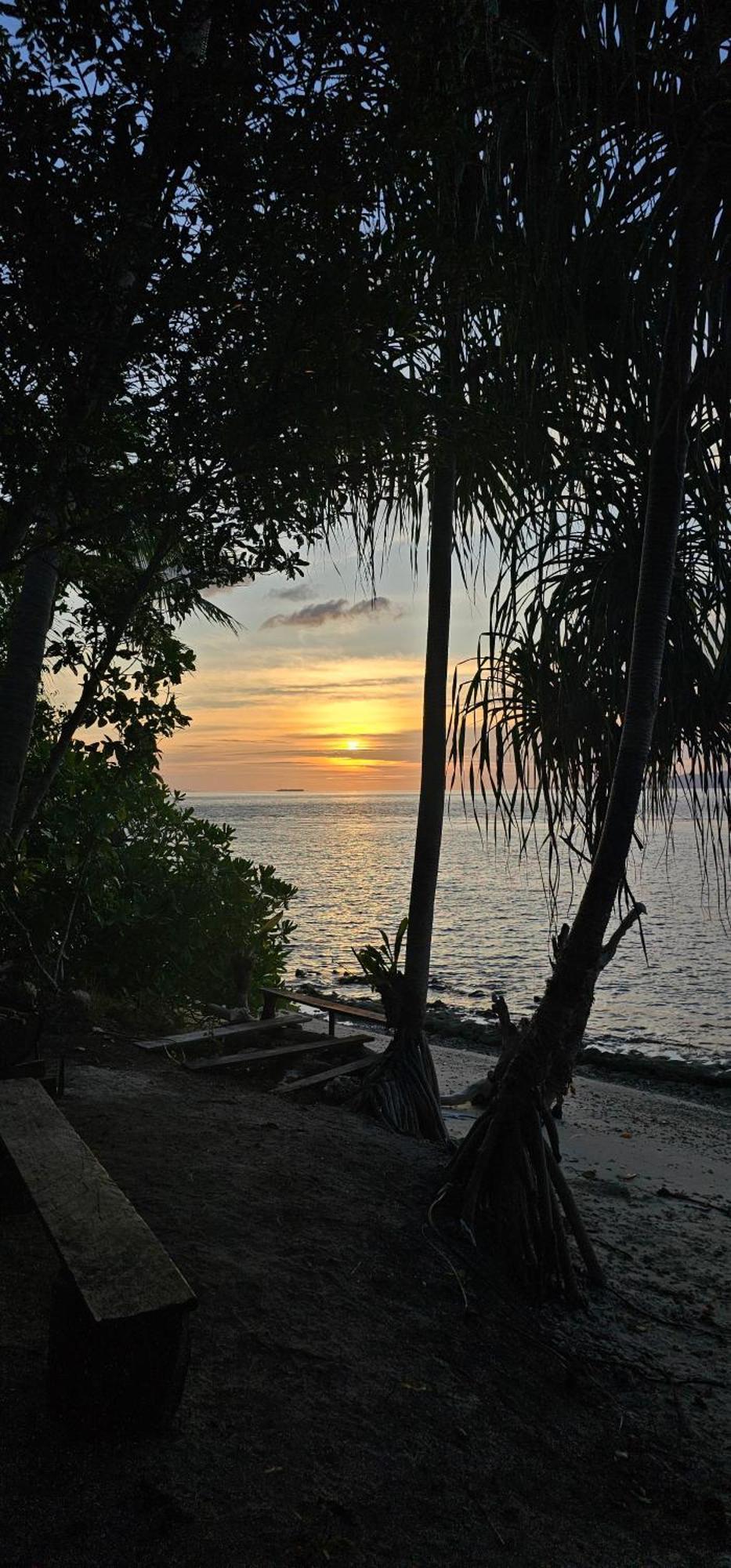 Terimakasih Homestay Pulau Mansuar Exterior foto